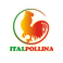 ITALPOLLINA－考克